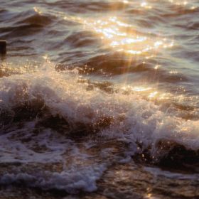 minakim Profile Picture