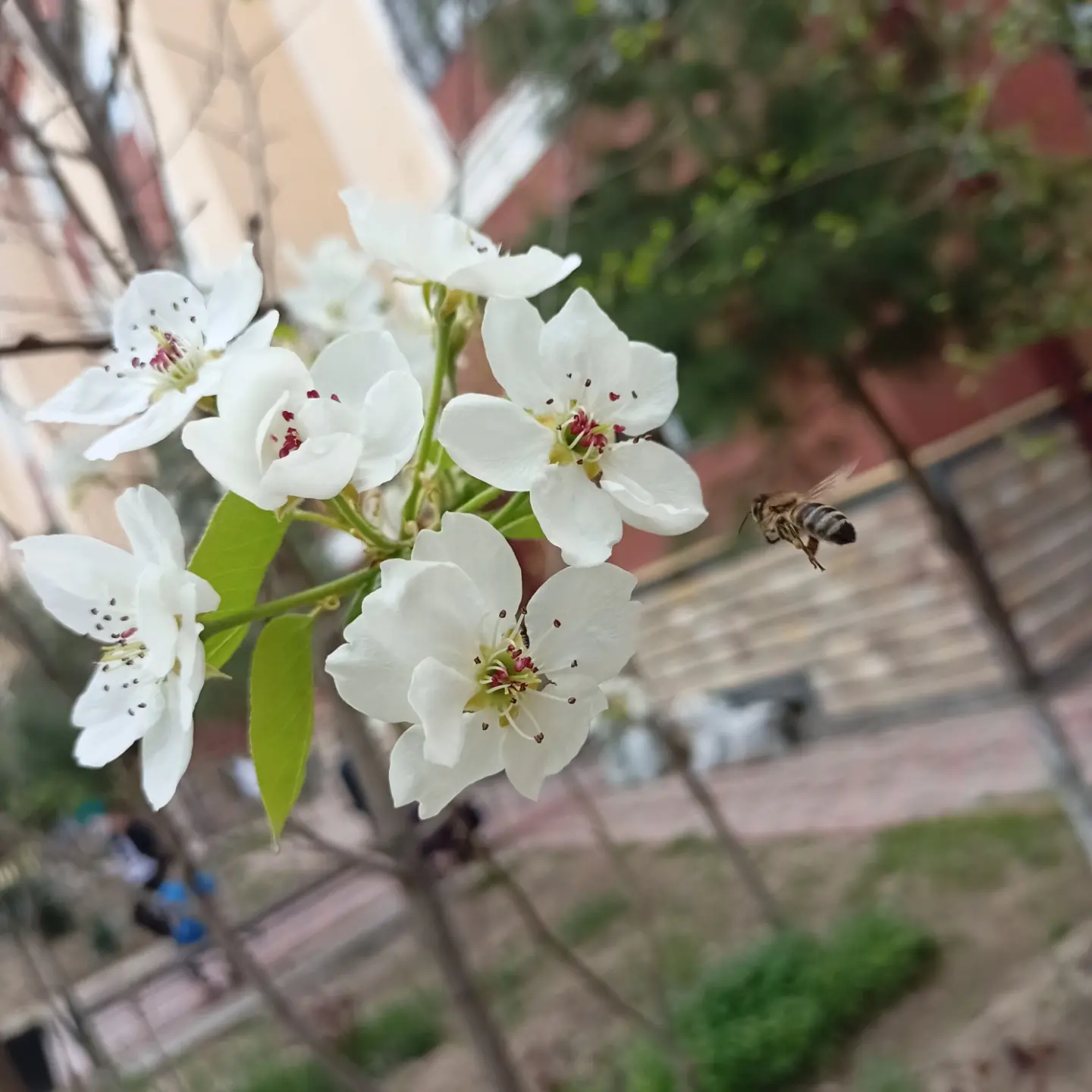 Ольга Базарова Profile Picture