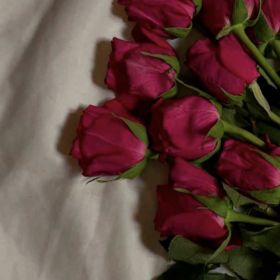 Умм Сумая Profile Picture