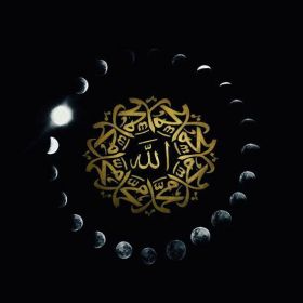 Курбан Гаджиев Profile Picture