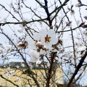 Эльмира Profile Picture