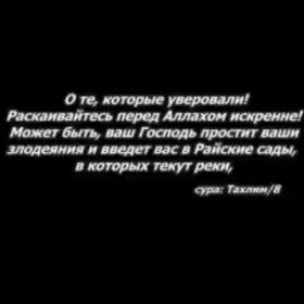 Musa Aliev Profile Picture