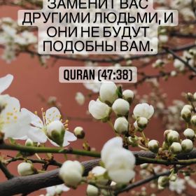 Амина Рамазанова