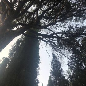 Амина Керефова