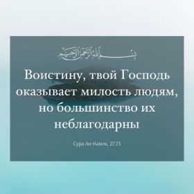 Абу АбдуЛлах Profile Picture