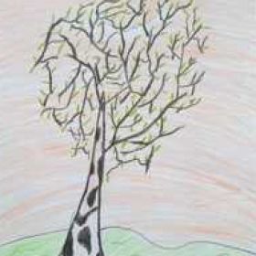 Madin Profile Picture