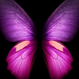 Данизат Сафарова Profile Picture