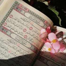 Aishatunn Profile Picture