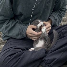 Damir07 Profile Picture