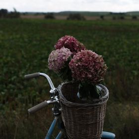 Умм Джамиля Profile Picture