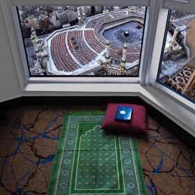 Safari Safary Profile Picture