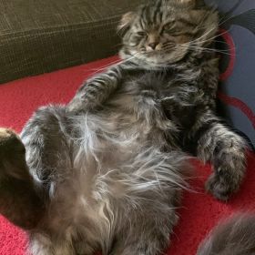 Гаджи Алиханов Profile Picture