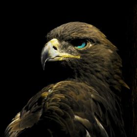 Амир Акимов Profile Picture