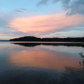 abu.hamza Profile Picture