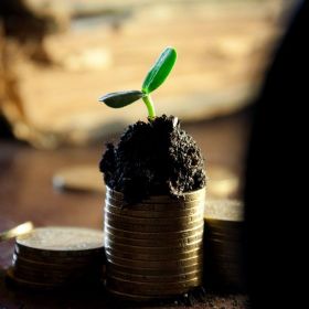 Zayd_Hariss Profile Picture