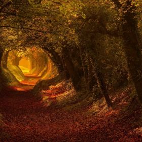 Человек Мусульманин Profile Picture