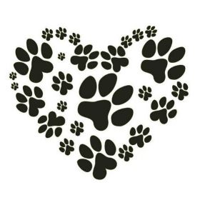 Umar abu Haidar Profile Picture