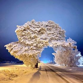 Ahmad. Hamzaev. Profile Picture