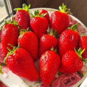 Гульнур Исабекова Profile Picture