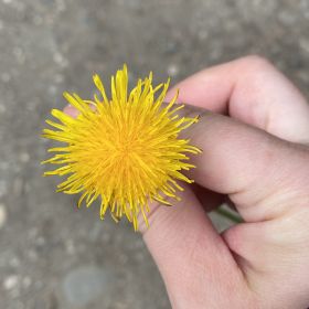 Мунира Гаунова Profile Picture