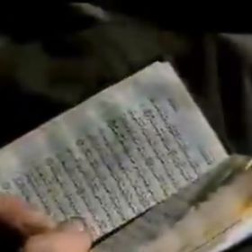 Lores Ipsum Profile Picture