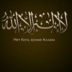 453865378 Profile Picture