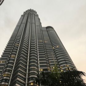 Adam Vu Profile Picture