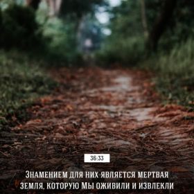 حسن اليو Profile Picture