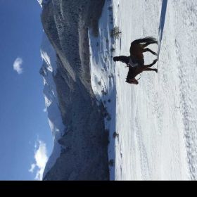 Юсуп Али Profile Picture