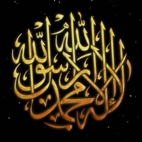 Мурад Магомедов Profile Picture