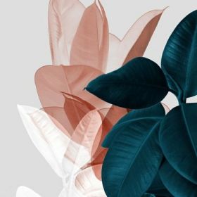 Amina Moshkhoeva Profile Picture