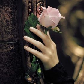 Aisha_kavkaz Profile Picture