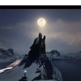 Anisa Nasioglu Profile Picture