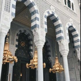 نور المعرفة Profile Picture