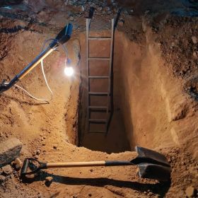 the guest Profile Picture