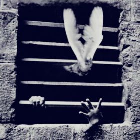 MXAAXM Profile Picture