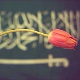 Ummdaud8 Profile Picture