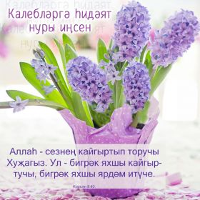 дильмира Ибадуллаева