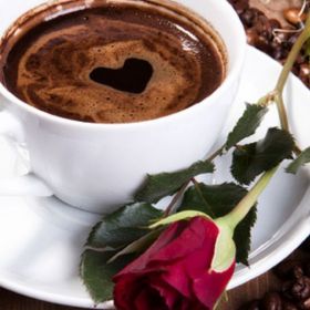 Miqdad Mahdi Profile Picture