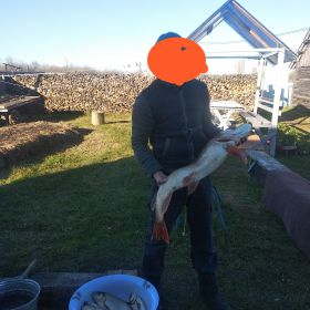 Айдар Алеев Profile Picture