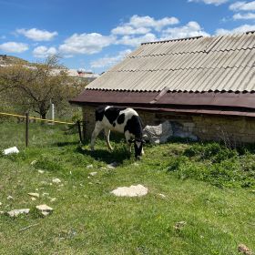 Шамиль Убайдатов Profile Picture