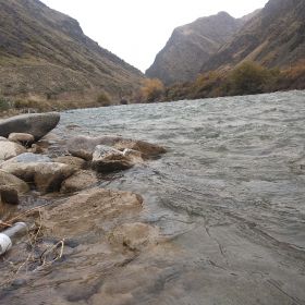 Наргиза Убулкасымова Profile Picture