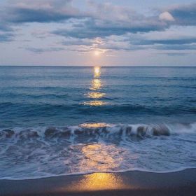 putnik Profile Picture