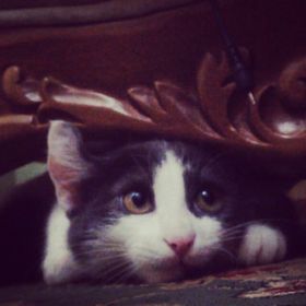 Герейханов Цимихан Profile Picture