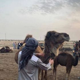 Расим Истарханов Profile Picture