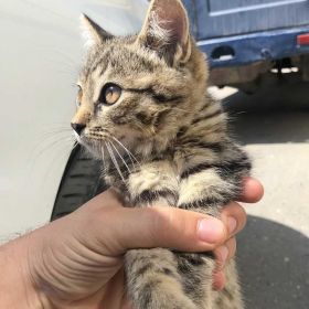 Abu Huzaifa Profile Picture