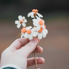 Галия Шайхутдинова Profile Picture