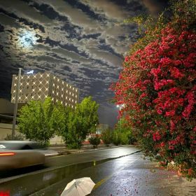 Karina Tamadaeva Profile Picture