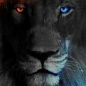 ummsuleyman Profile Picture