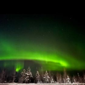 Muhammad Muslimun Profile Picture